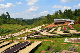 Burundi